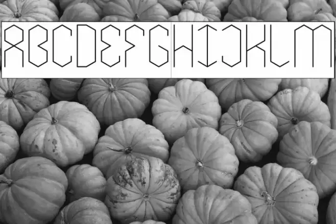 LOIS CESARANO-Inverse Font examples