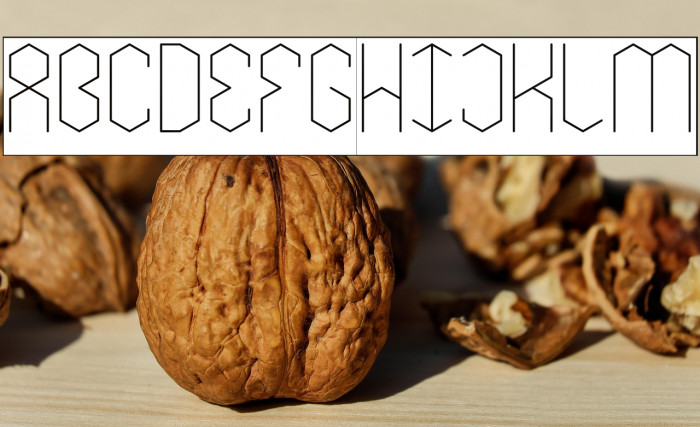 LOIS CESARANO-Inverse Example 3