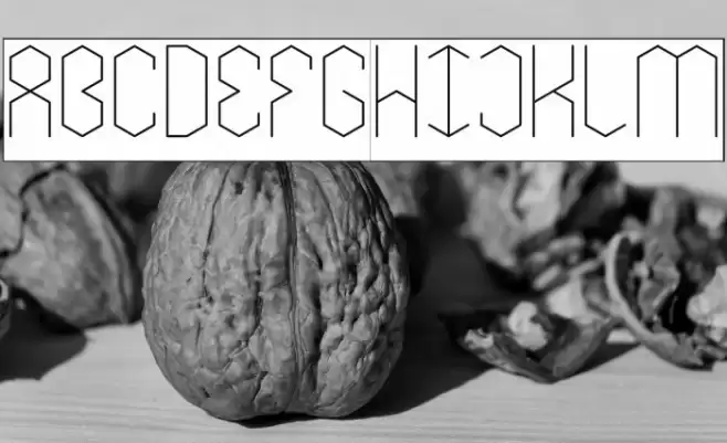 LOIS CESARANO-Inverse Font examples