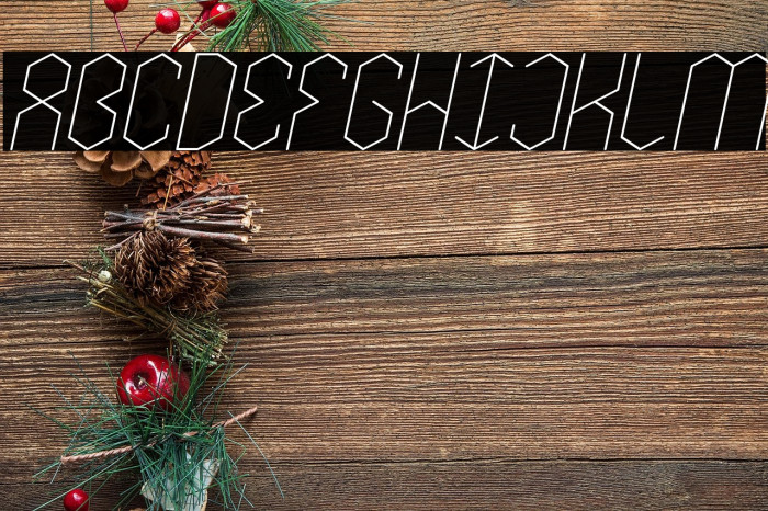 LOIS CESARANO Italic Example 3