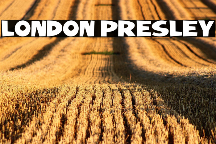 LONDON PRESLEY Example 1