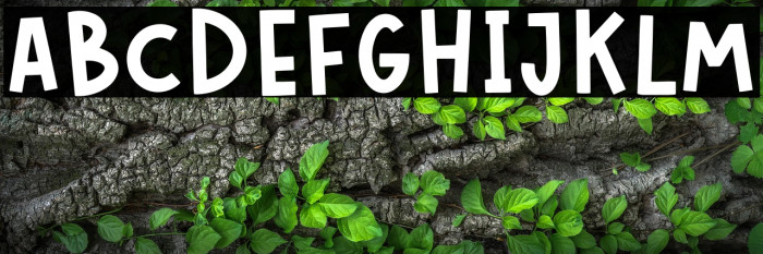 LONELY BOYS Example 1