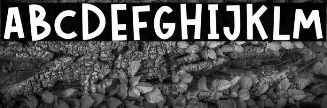 LONELY BOYS Font examples