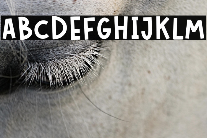 LONELY BOYS Example 3