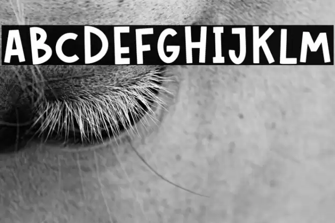 LONELY BOYS Font examples