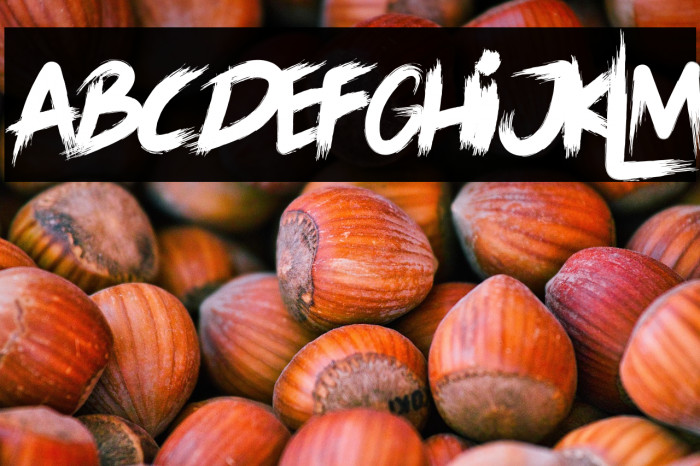 LORD OF THE RING Example 2