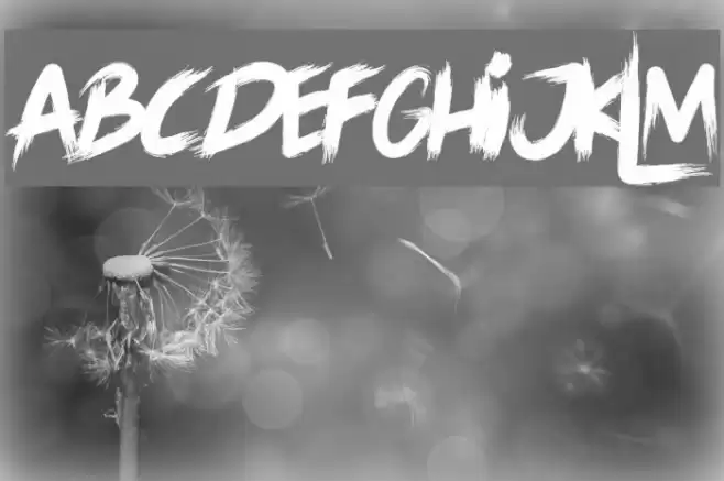 LORD OF THE RING Font examples