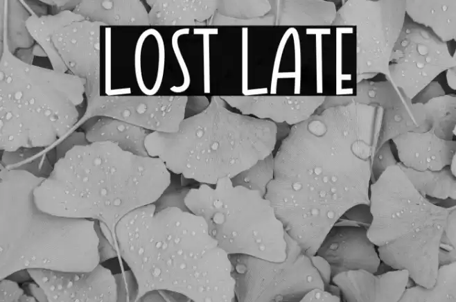 LOST LATE خط examples