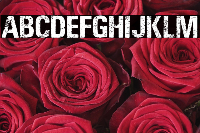 LOUD AND CLEAR PERSONAL USE  Example 3