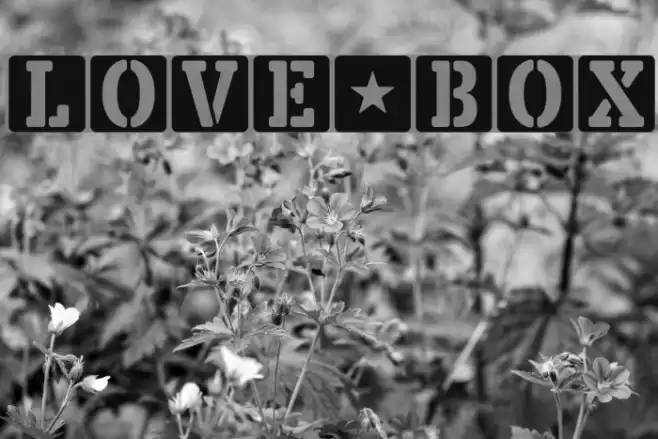 LOVE-BOX خط examples