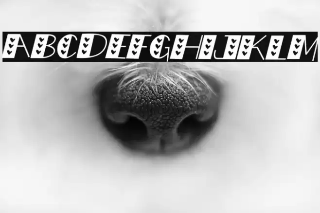 LOVE doly Italic Font examples