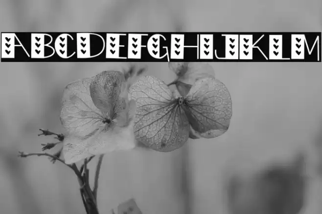 LOVE doly Font examples