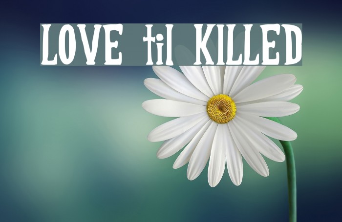 LOVE til KILLED Font examples