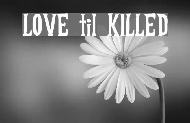 LOVE til KILLED Font examples