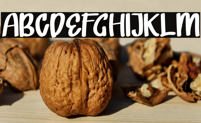 LOVELI MONKI Example 1