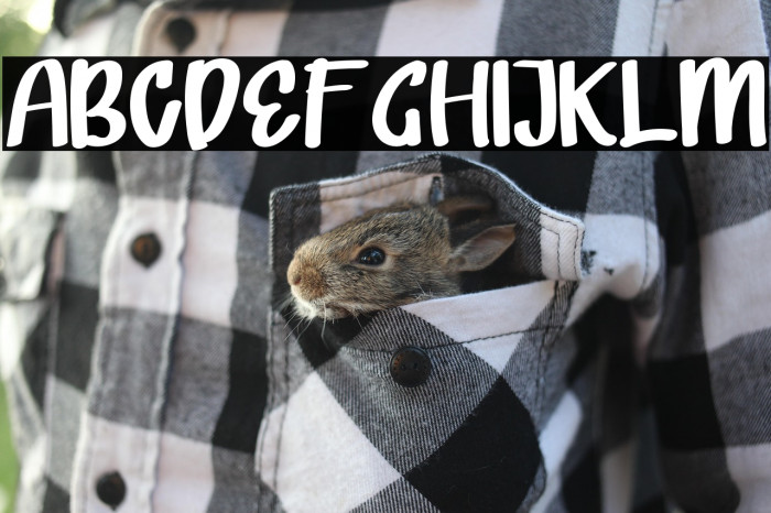 LOVELI MONKI Example 1