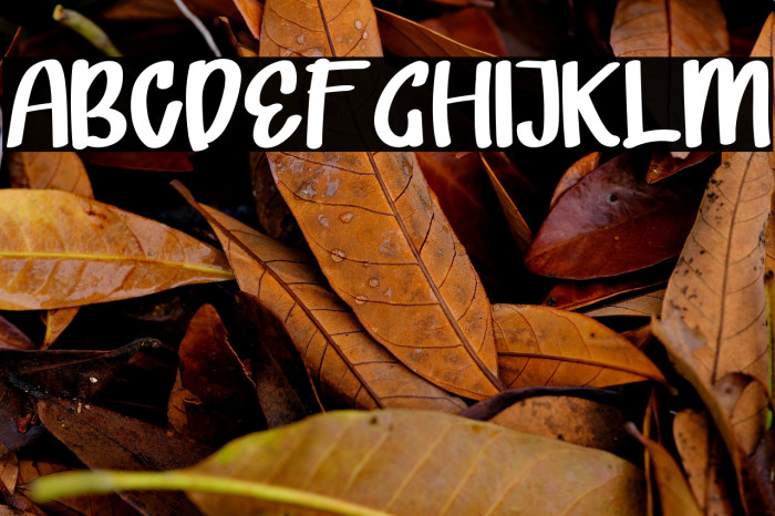 LOVELI MONKI Example 3