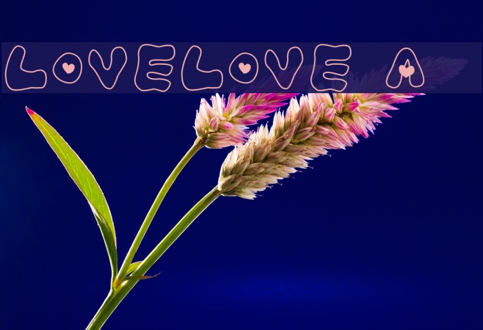 LOVELOVE_Ahan Font examples