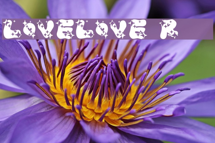 LOVELOVE_Ramee Example 1