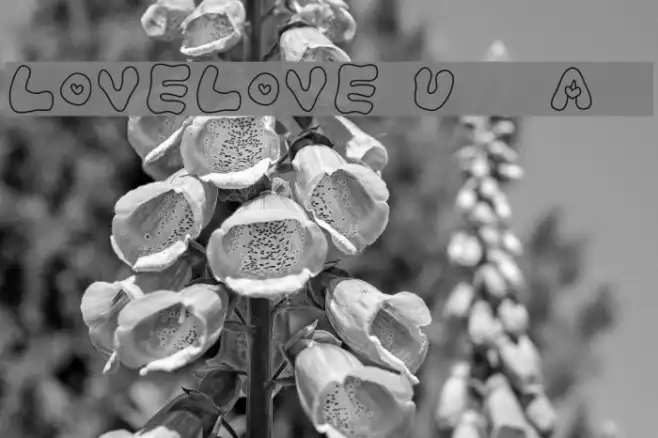 LOVELOVE_UfunAhan Example 2