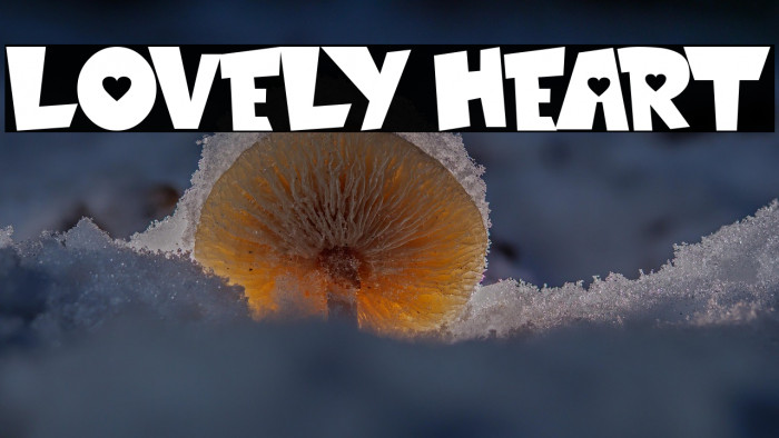 LOVELY HEART Example 1