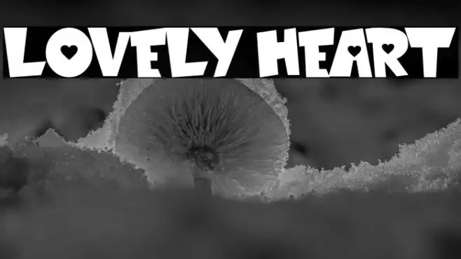 LOVELY HEART Example 1
