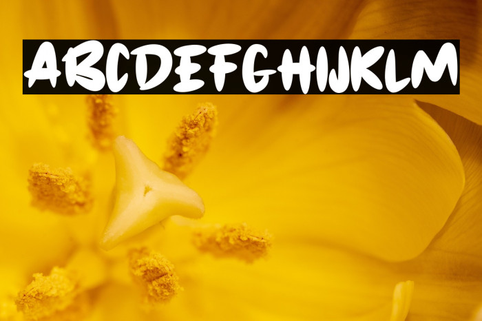 LOVESCOOTER Example 2