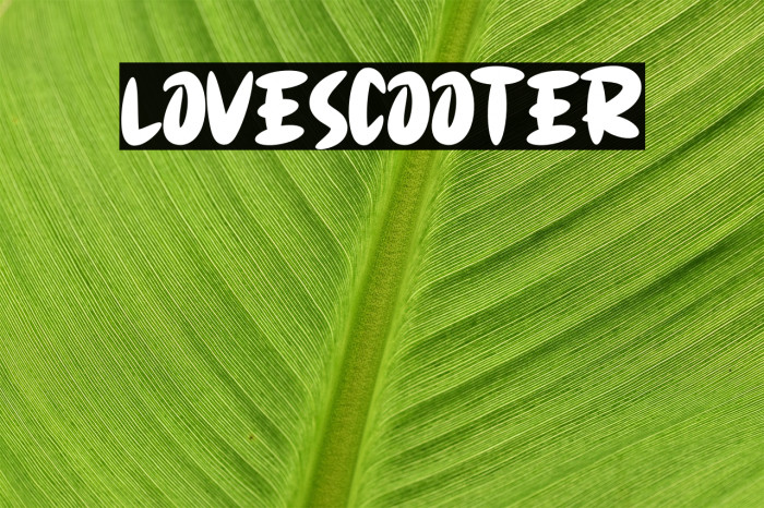 LOVESCOOTER Example 1