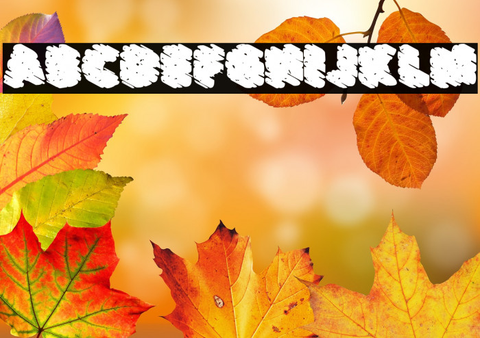 LOVESPINKPERSONALUSE-Black Example 1