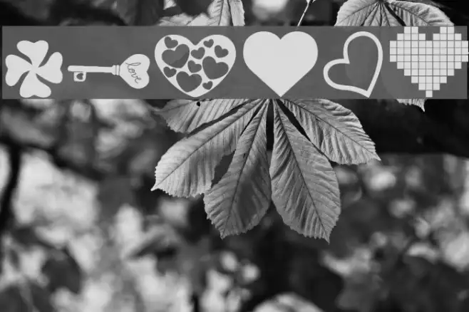 LOVE_AMY Example 2