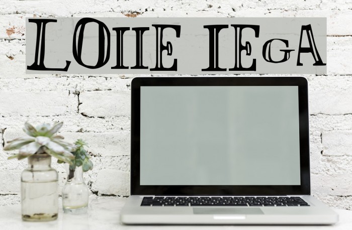 LOlivier Irregular Font examples