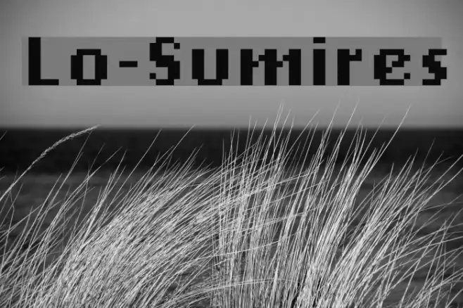 Lo-Sumires Example 3