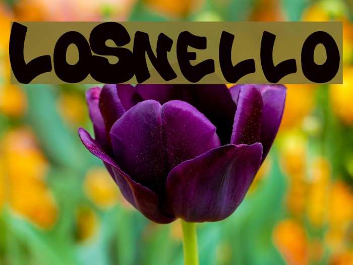 Lo_Snello Font examples