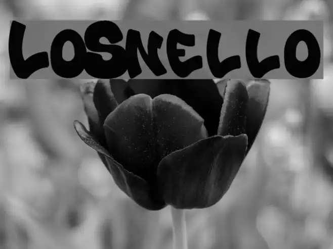 Lo_Snello Example 1