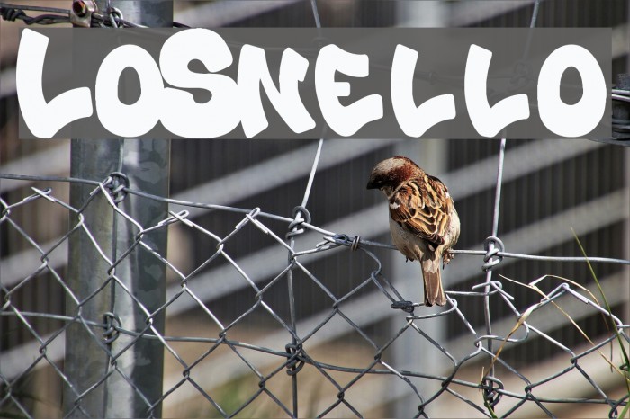 Lo_Snello Font examples