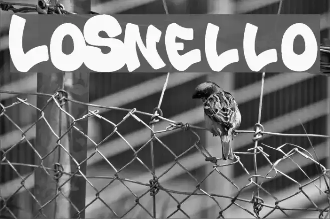 Lo_Snello Example 2
