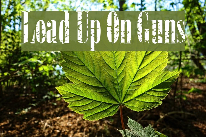Load Up On Guns Font examples
