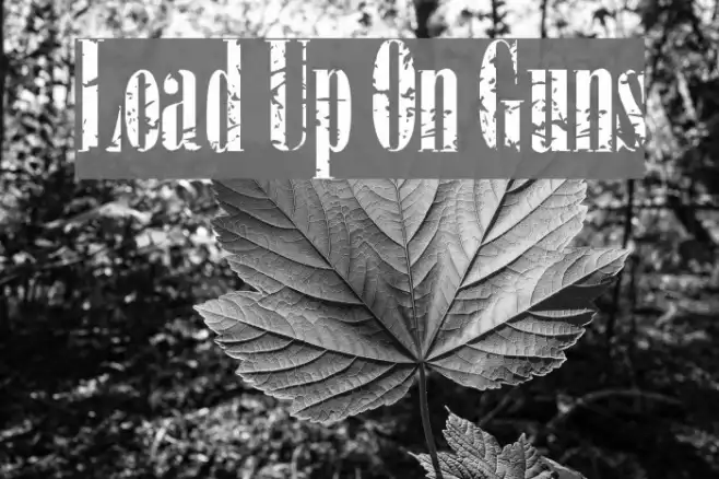 Load Up On Guns Example 3