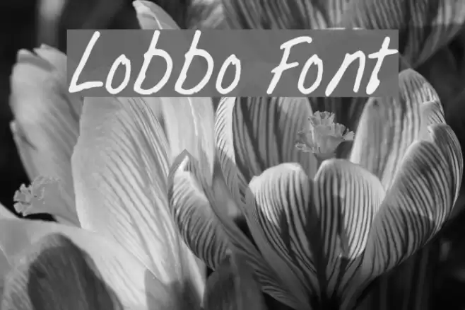 Lobbo Font examples