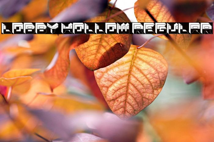 Lobby Hollow Regular Example 1