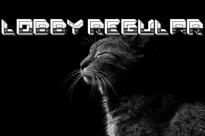 Lobby Regular Example 2