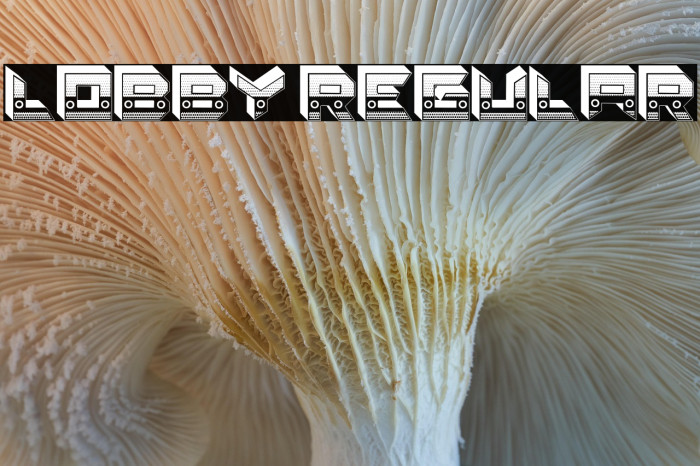 Lobby Regular Example 3