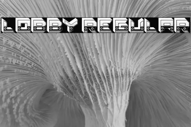 Lobby Regular Fonte examples