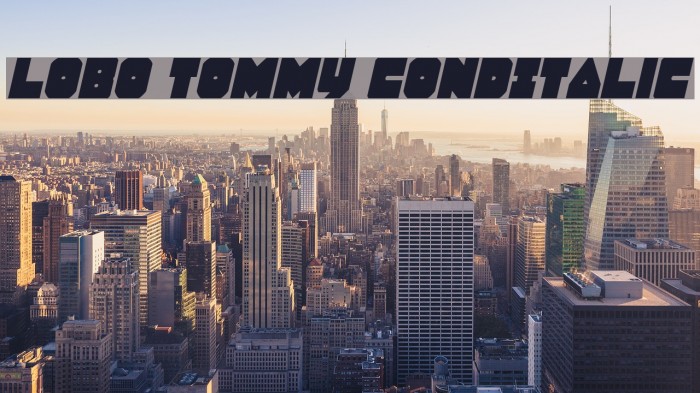 Lobo Tommy CondItalic フォント examples