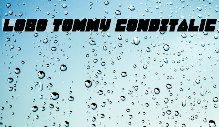 Lobo Tommy CondItalic フォント examples