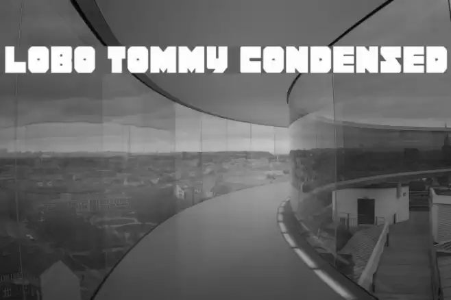 Lobo Tommy Condensed Font examples