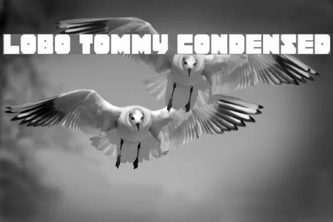 Lobo Tommy Condensed Font examples