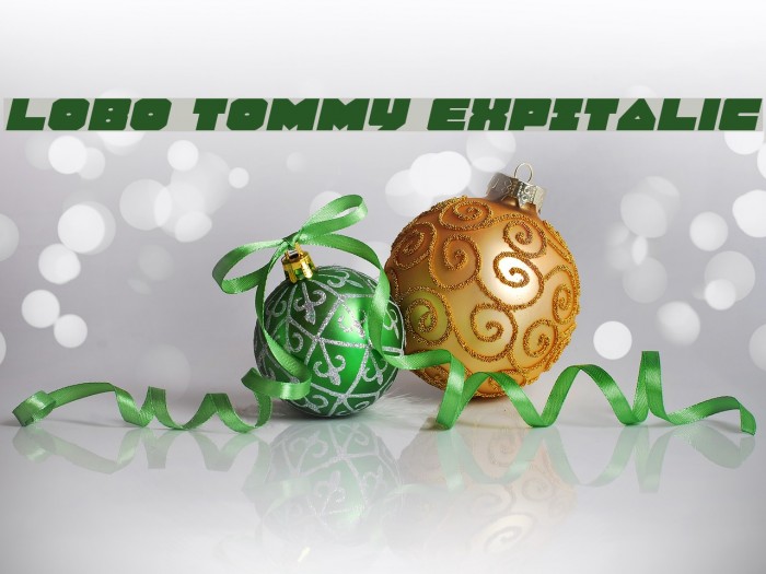 Lobo Tommy ExpItalic Font examples
