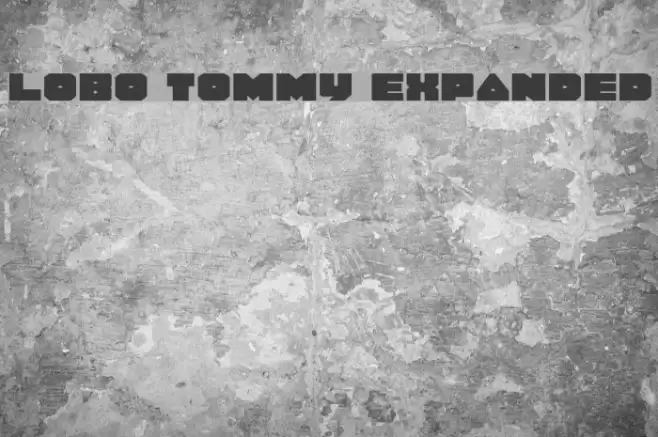 Lobo Tommy Expanded Fuentes examples