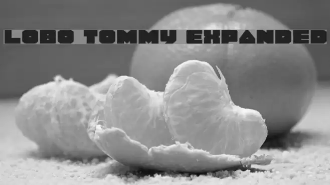 Lobo Tommy Expanded Fuentes examples
